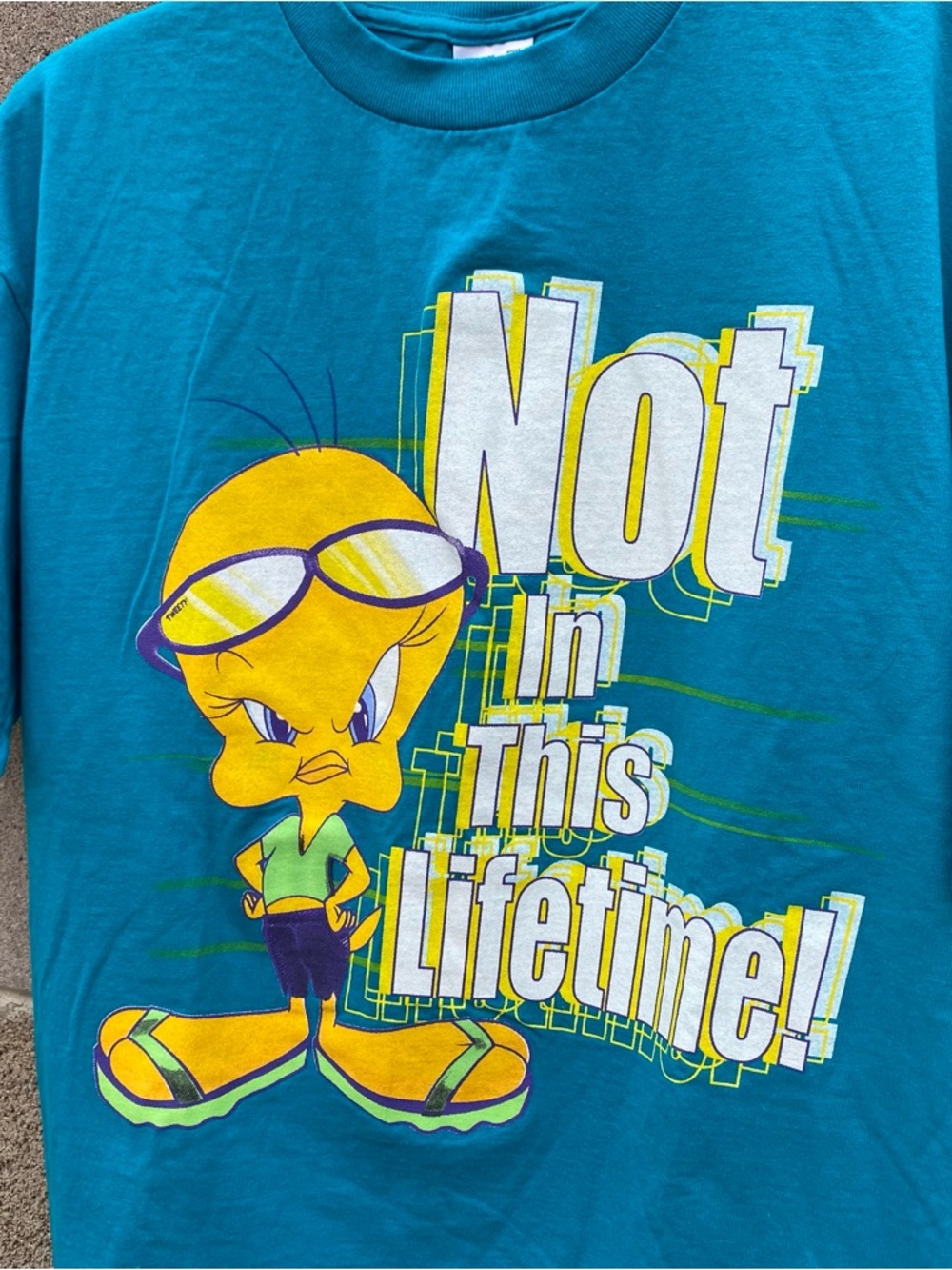 Vtg Looney Tunes Adult Large Graphic Print Short Sleeve T Shirt Tweety Bird 90s